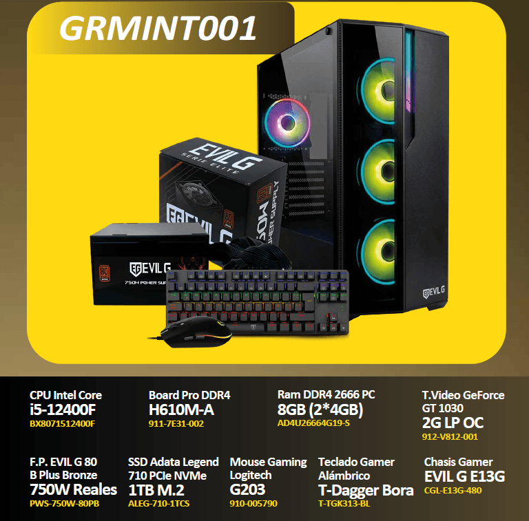 Gaming GRMINT001 (GT 1030)